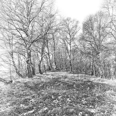 trekkingfoto's tweet photo. A day in the #forest #resinelli #landscape #photography #photo #nature #travel #art #photooftheday #image #Landscap… https://t.co/5J5t0LDwVO