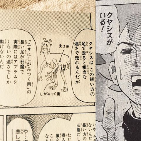 うりっく Anima鯖のエル El クヤシス