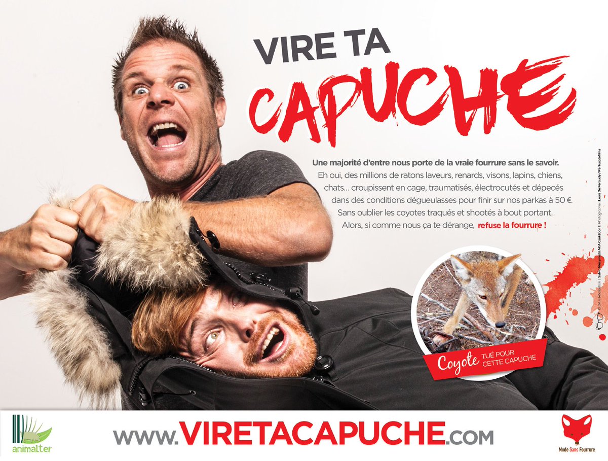 nqtv's tweet photo. Fais pas ta pute, vire ta capuche. Le connerie tue 50 millions d'animaux par an ! https://t.co/MVMeeiFCOk