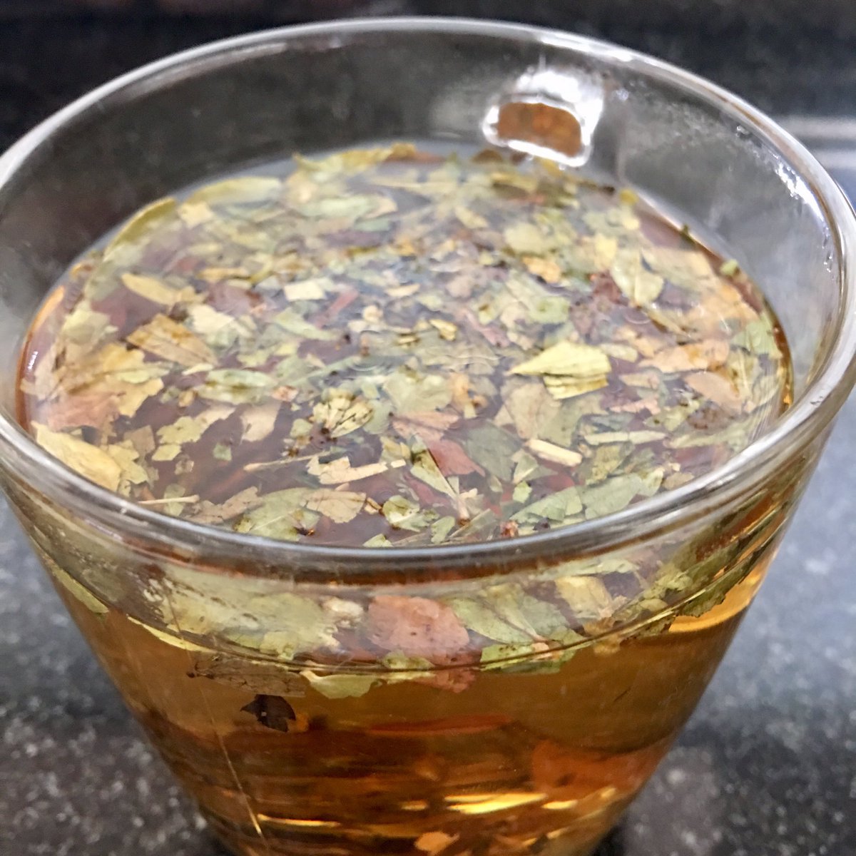 IBelizeit's tweet photo. After straining it will be ready to go; I hope it won't be too potent.

#Senna leaves for #health. #sennatea #herbs #wellness https://t.co/gUMgmxdTK9