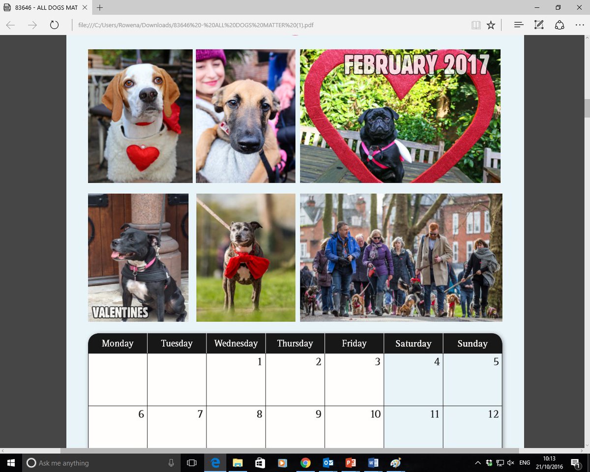 AllDogsMatter's tweet photo. Our 2017 Calendars are available here: https://t.co/tI3ZM8VrVV Thanks to all the pawsome photographers for their hard work and support <3 https://t.co/8YuBdX3VH2