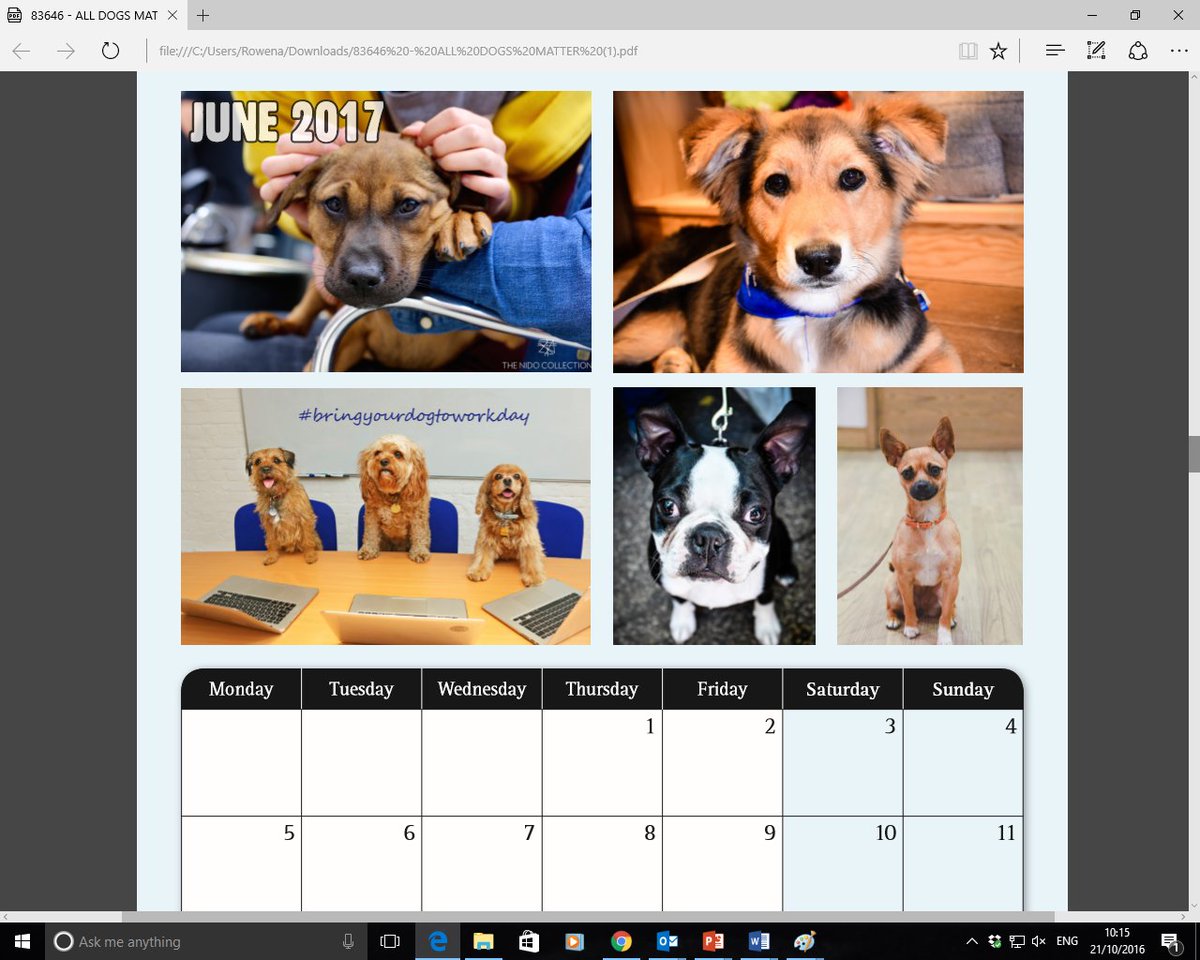 AllDogsMatter's tweet photo. Our 2017 Calendars are available here: https://t.co/tI3ZM8VrVV Thanks to all the pawsome photographers for their hard work and support <3 https://t.co/8YuBdX3VH2