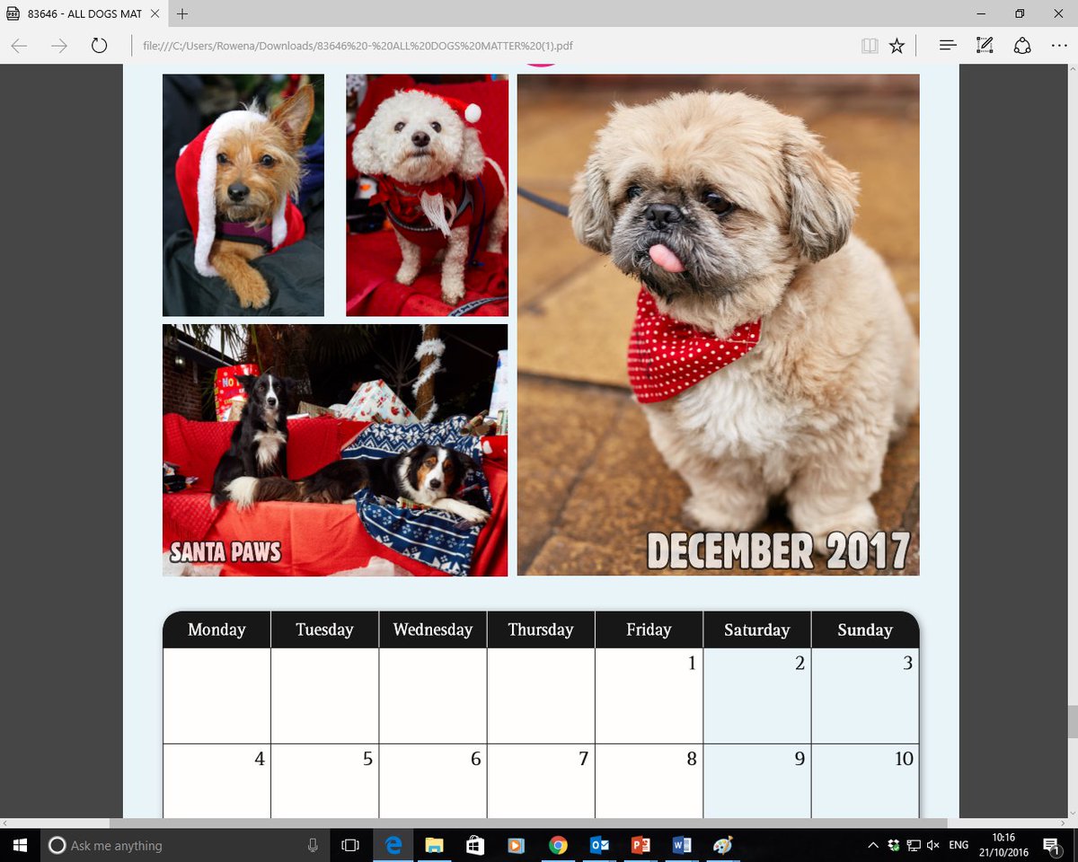 AllDogsMatter's tweet photo. Our 2017 Calendars are available here: https://t.co/tI3ZM8VrVV Thanks to all the pawsome photographers for their hard work and support <3 https://t.co/8YuBdX3VH2