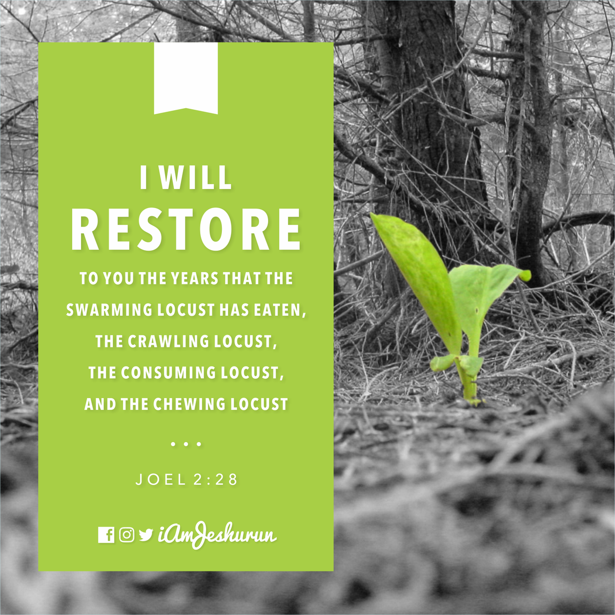 RevYinkaAdeleke's tweet image. Whatever you may have lost this year, you have God&apos;s sure promise of restoration. Rest in him and you will smile again
 #ui #ux #hope #life