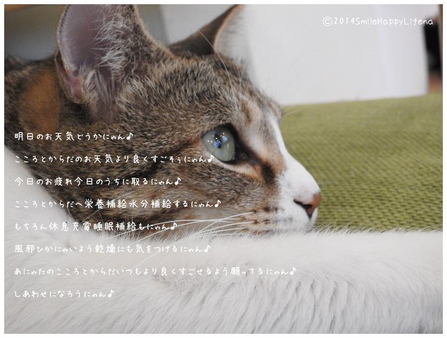 Twitterで画像を見る