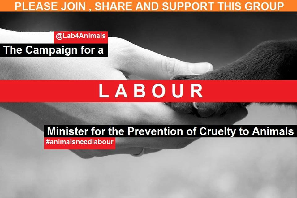Lab4Animals's tweet photo. The only difference between a poacher &amp; a hunter is who gets the payment. The animals suffer &amp; die either way.It's all animal cruelty. https://t.co/xTz2YRpemy