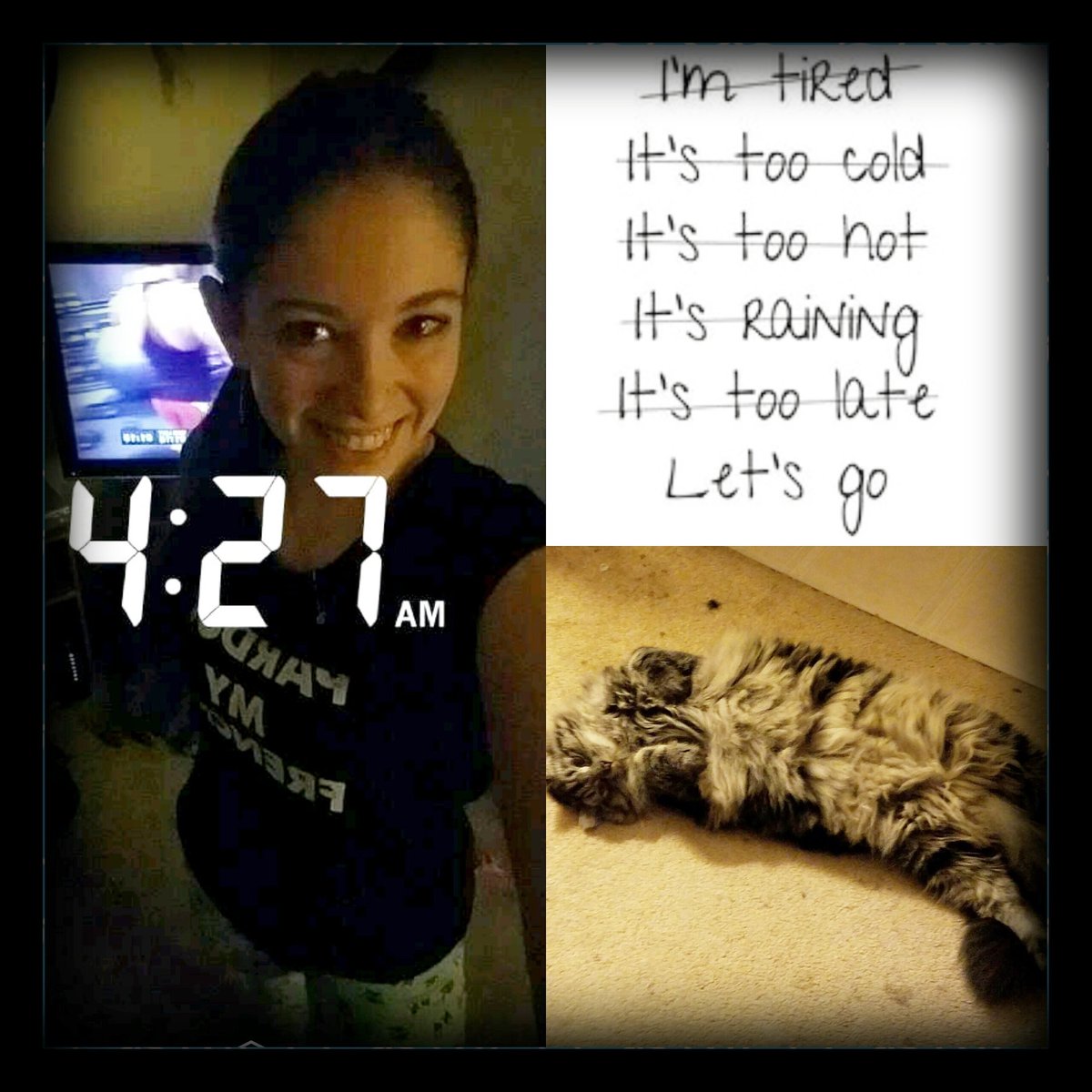 HarkinsC's tweet photo. Sleeping Alvin does this every morning while I workout. Lol shoulders today! https://t.co/LFJcxnDTmy