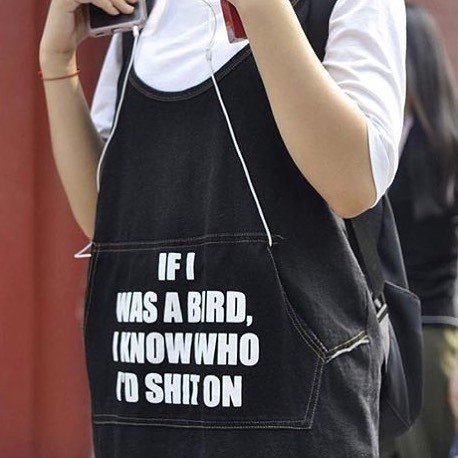 tshirtsbeijing's tweet photo. Do NOT mess with the women of Beijing. #ifiwasabird utterly sublime #tshirtsofbeijing subm… https://t.co/jRJe12QC4y https://t.co/26VMxj54tD