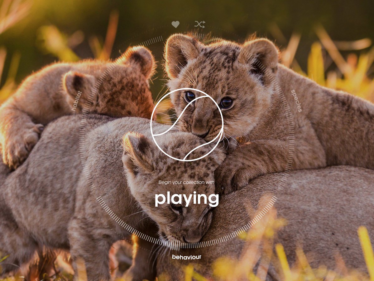 AKQA's tweet photo. Share the wonders @BBCEarth https://t.co/h8DyjkHZga #storyoflife https://t.co/cyBMVSlYVX