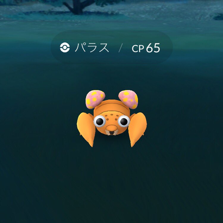 kokemari's tweet photo. #ポケモンGO #CP65 https://t.co/WJRUUD0NIF