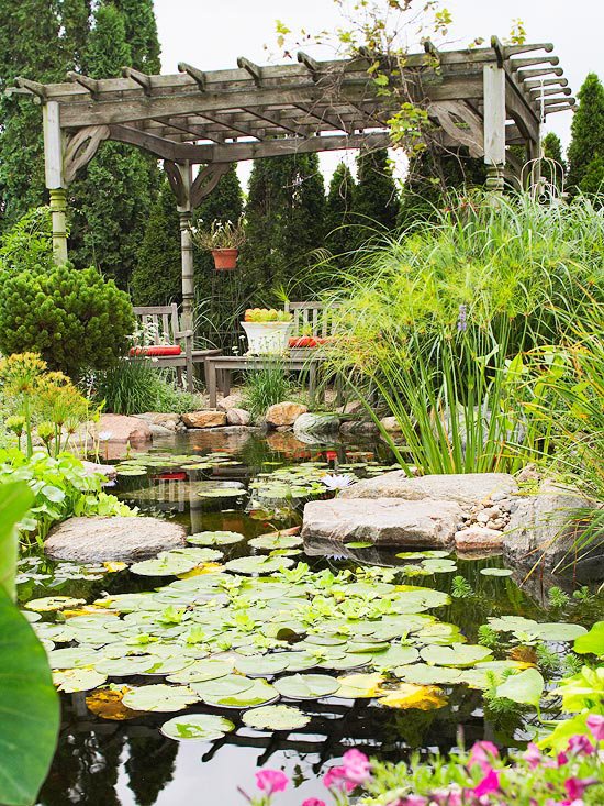 Whether you want to add a tiny fountain or large pond, you'll find inspiration in these 19 ideas qoo.ly/c7f83