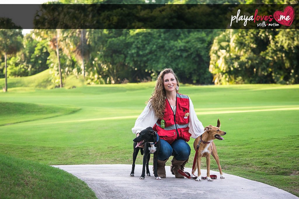 dogwalkershop's tweet photo. Make #DogWalking more enjoyable, hassle-free. #MultiplePockets,#Clips, #WaterBottlePockets,#ReflectiveStrips, #Sale. https://t.co/FAd5xqkxLA