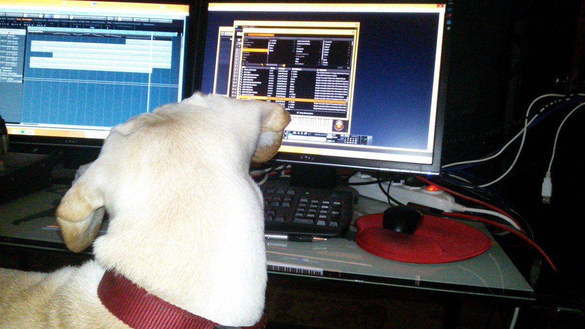 Masterjungly's tweet photo. #cane #sounengineer #Infrasuono #jungly Controlla i livelli. <3 https://t.co/DnjYgDdWzk