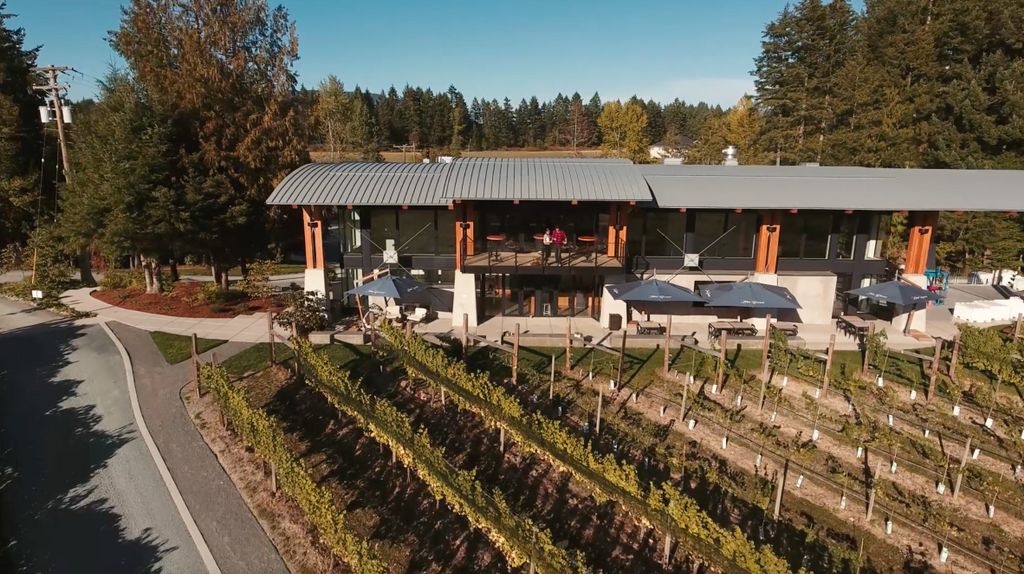 FRSClipper's tweet photo. Escape to the #Cowichan and explore the heart of wine country via @Islandtimetours. Discover a variety of wineries like @BlueGrouseWines 🍷 https://t.co/JNly6iDTRw
