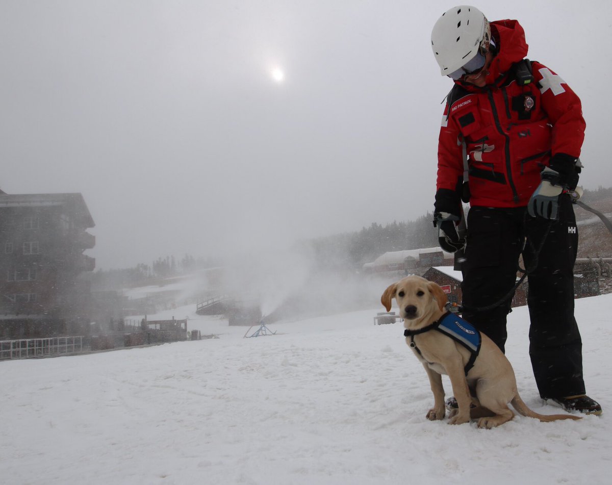 Milo's also ready for the first day of the season, Nov. 19! #Breck #🐶