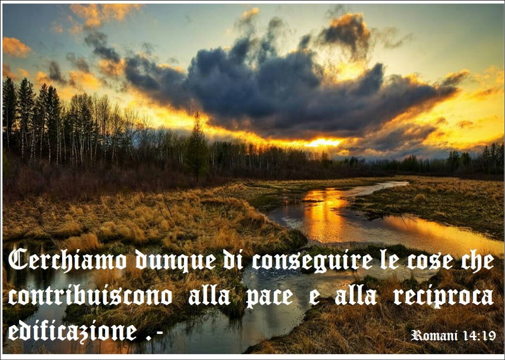 ADI_Molfetta's tweet photo. #edificazione https://t.co/pdBEK2GpRb
