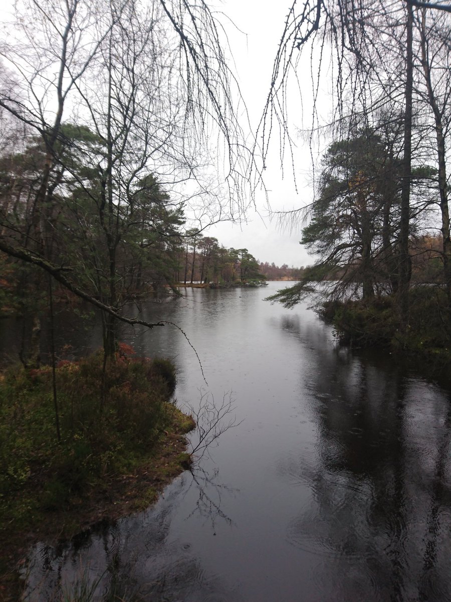 plodthelakes's tweet photo. Delicious 2 course winter warmer lunch (£7 bargain!)at @lakesiderailway after a very soggy walk around High Dam #lakedistrict @NotJustLakes https://t.co/rzhOYz7LK2
