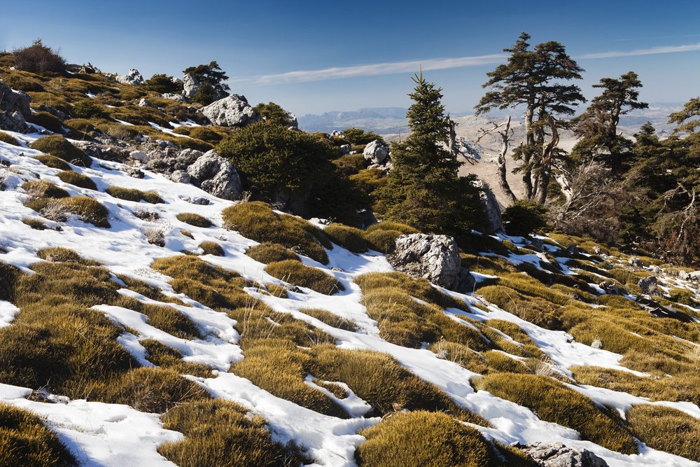 Ruralidays's tweet photo. ¿Estará tu Parque Natural favorito en este listado? Descúbrelo 🔝 https://t.co/vmXgxFHtla @SitiosdeEspana https://t.co/NYNgRQ8v9O