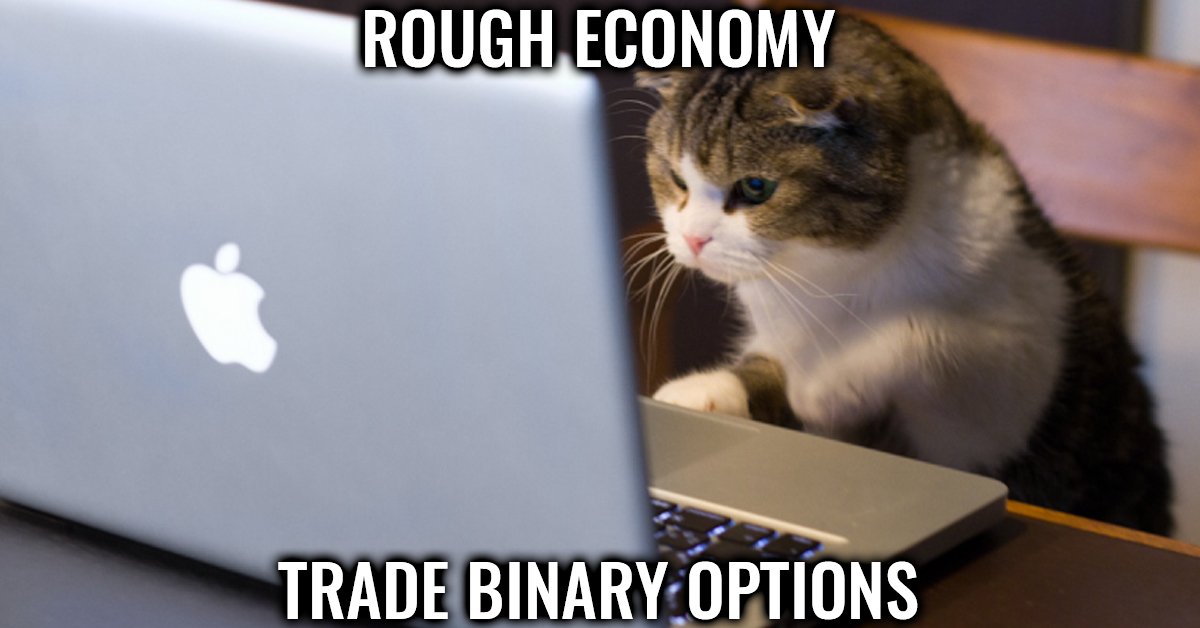 ASKoption's tweet photo. Wonder how  to become #independent and #rich? Be like a #cattrader - Trade #binaryoptions https://t.co/gwwycYoLwQ #dontfall #dontfallatfall https://t.co/37DEWGbbbB