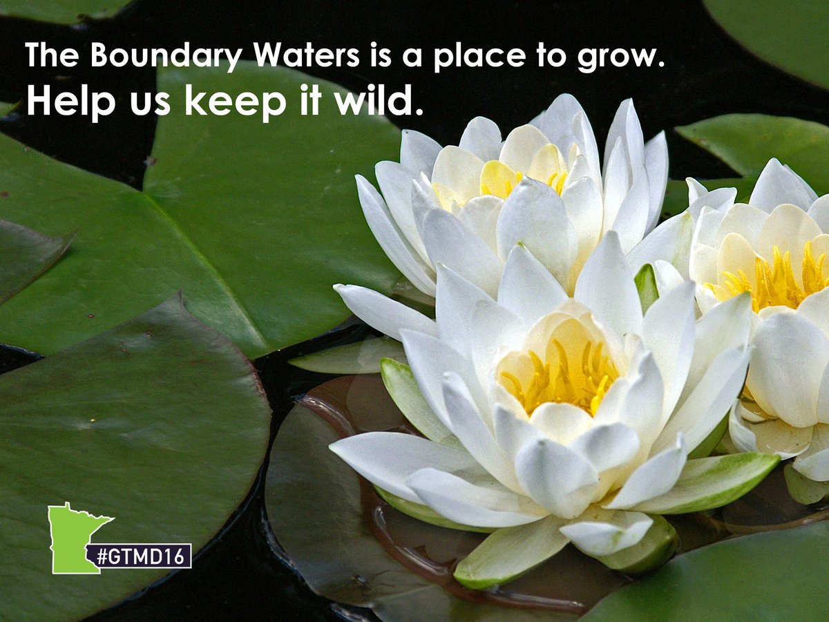 FriendsBWCAW's tweet image. Keeping BWCA wild since 1976 - join our team today and get 6 mo free @PaddlePlanner to plan your next trip - bit.ly/GTMDBWCA