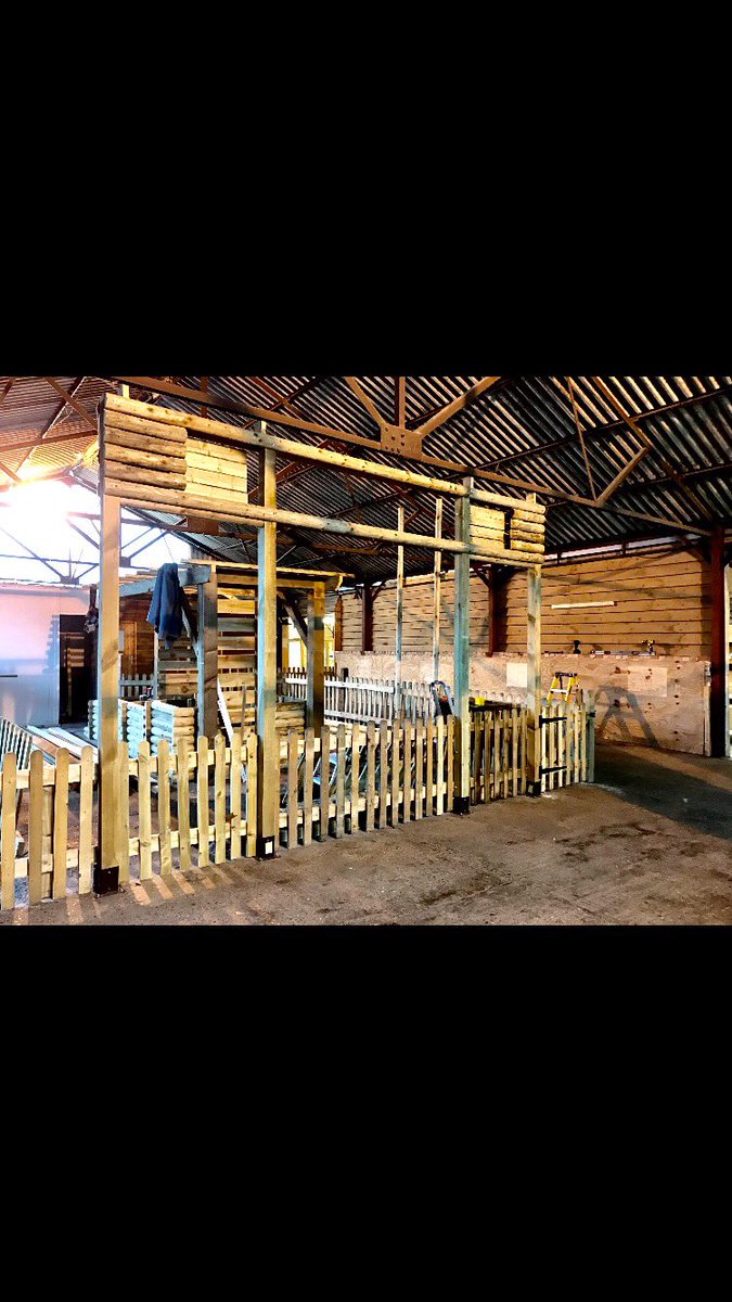 Boxoffrogsltd's tweet photo. Work coming along wonderfully @OddsFarmPark for their annual #Christmas #Festival ☃️🌲🎅🏻🐸 https://t.co/M1mgvB89lI