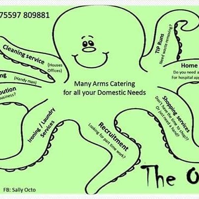 theoctopusltd's tweet photo. Xmas offers coming book your xmas deep clean #letusgetyoureadyforxmas https://t.co/aS0wafVvvj