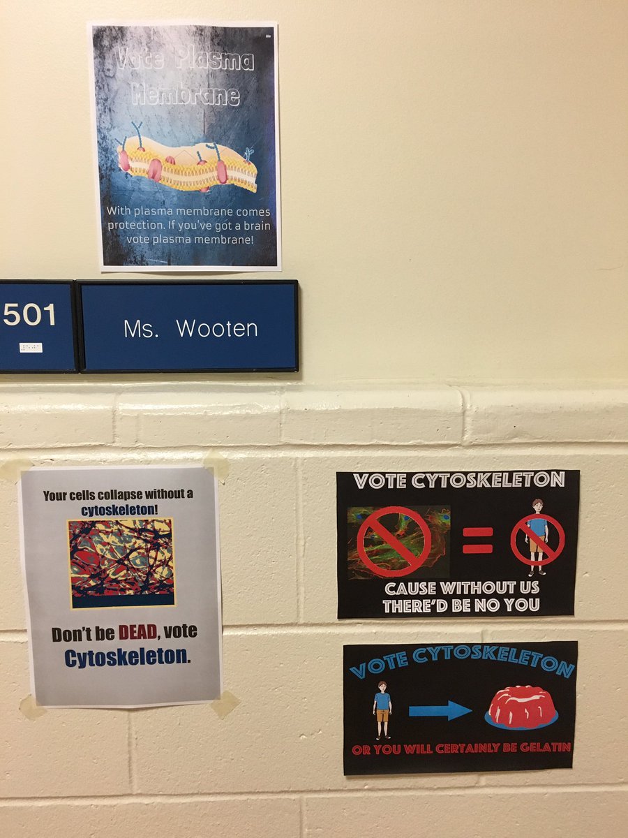 YHSScience's tweet photo. #yhsorganellewars https://t.co/Q5nIb9lp17