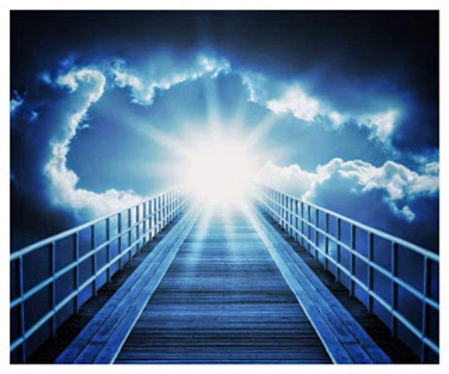 Alzheimers Front Row tweet media