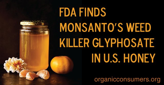 The FDA has begun testing food for traces of Monsanto’s glyphosate. The results are concerning! orgcns.org/2cIhc7M #health