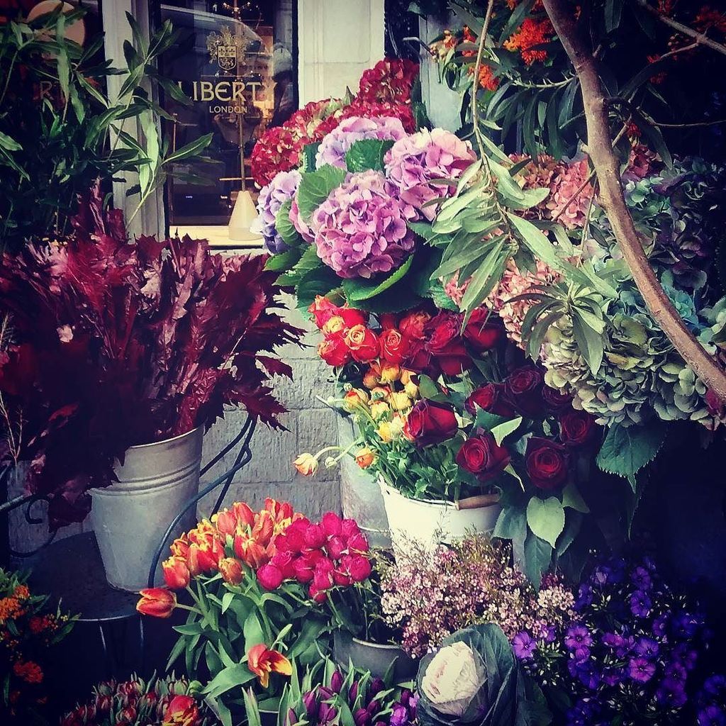 LDNspaconsult's tweet photo. #libertylondon #flowersinbloom #colourburst https://t.co/odLtdJleyL https://t.co/j7hfWB7MLv