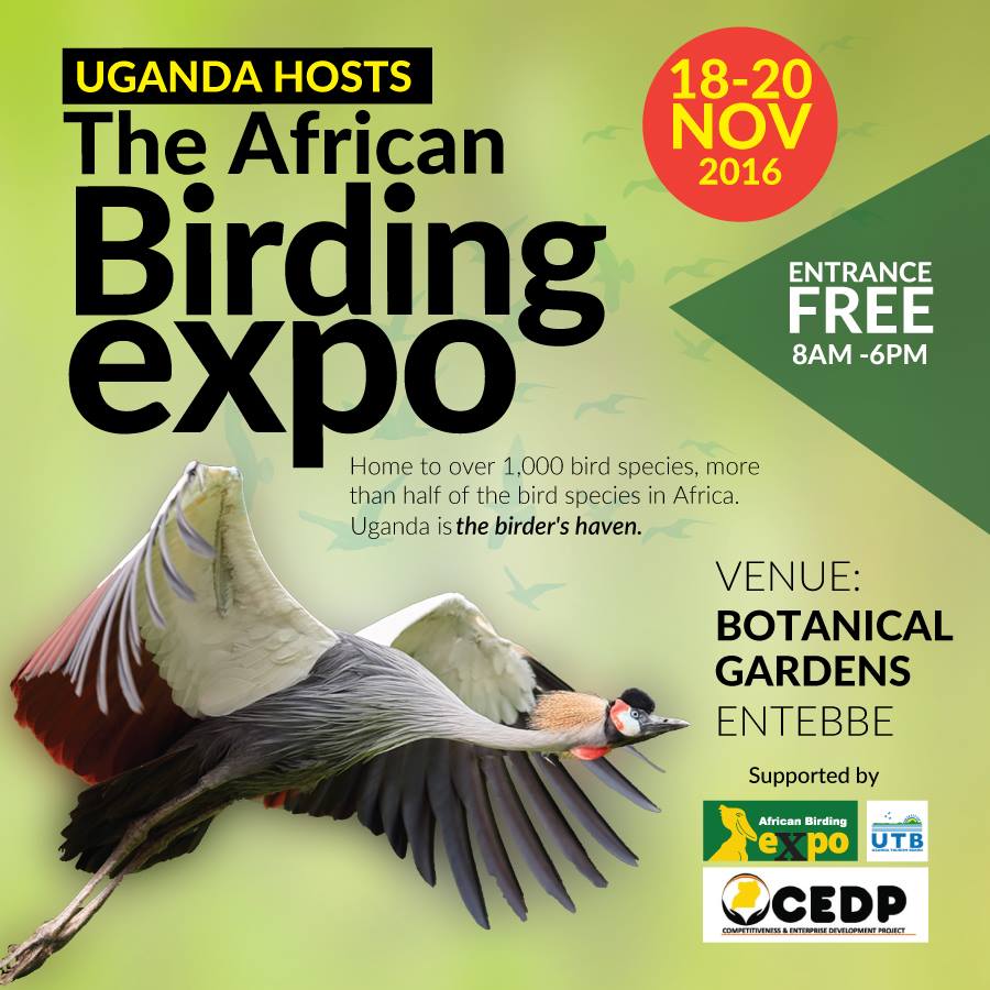 African Birding Expo tweet media