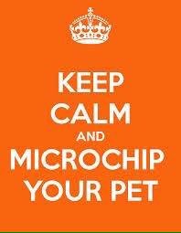 HaverBrihaver's tweet photo. Microchipping Kits. Best quality, used worldwide. $25. Easy injection. FREE lifetime reg.Tags. FB: Equichip West.
#bringthemhome
#petlink https://t.co/azCgxoUGQb