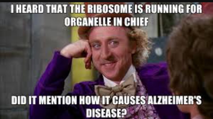 thewall___'s tweet photo. #organellewars @whsbiokelson https://t.co/OzM4XGGSj8