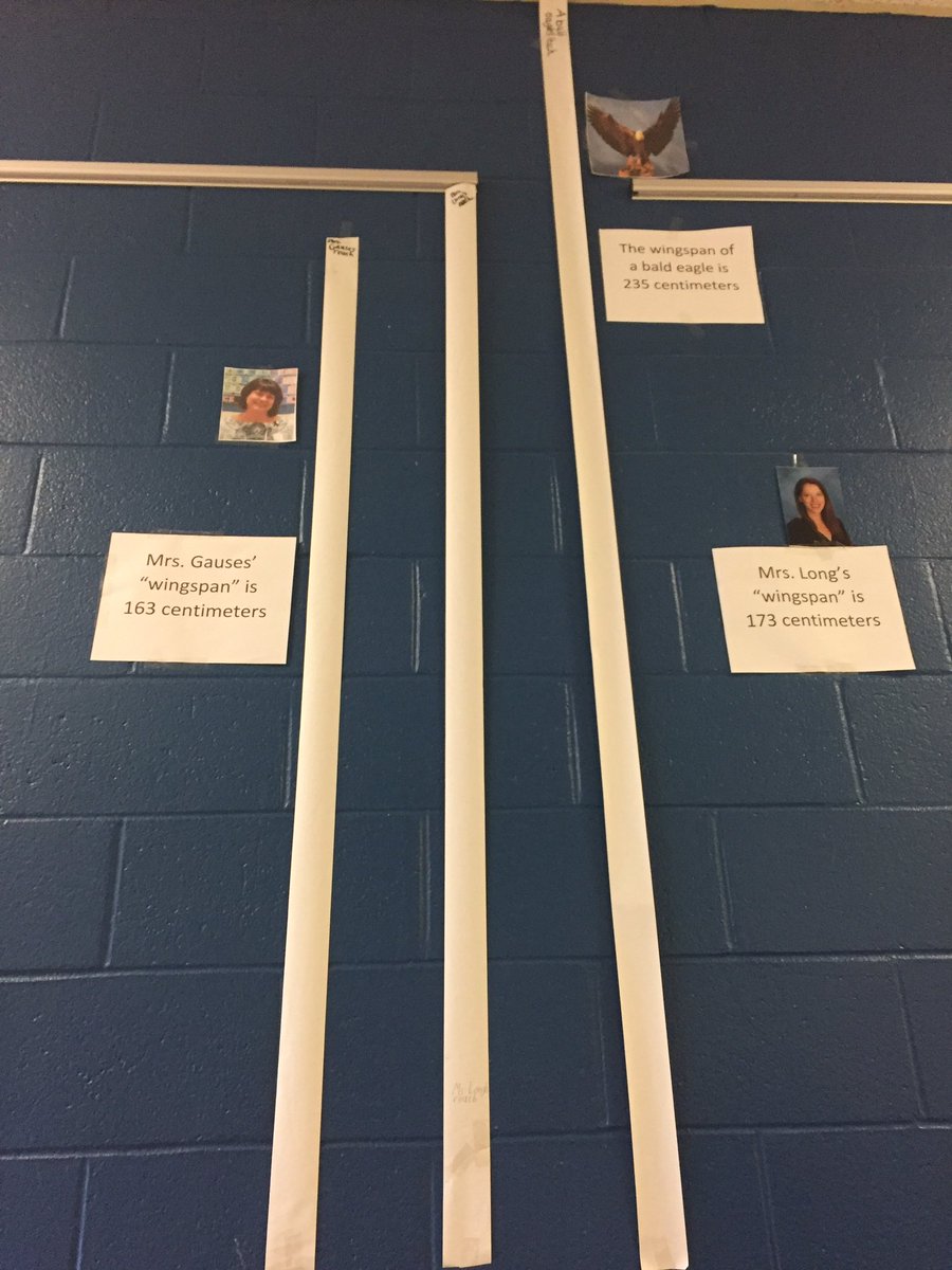 lessonswithlong's tweet image. Students didn&apos;t believe me when I said an eagle&apos;s wingspan was bigger than mine, so I made them prove it!