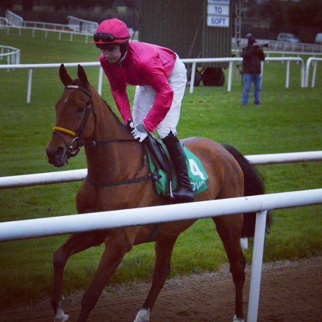Danny_Benson94's tweet photo. Good to be back! Minella Fair in Navan last week.. #2nd https://t.co/twRECrH6c4