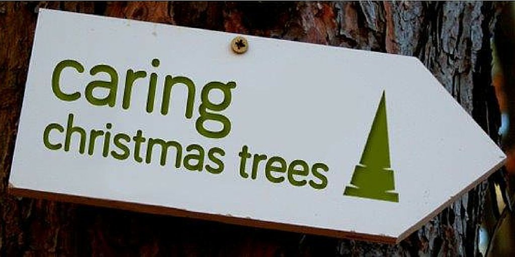 Bethany Christian Trust tweet media