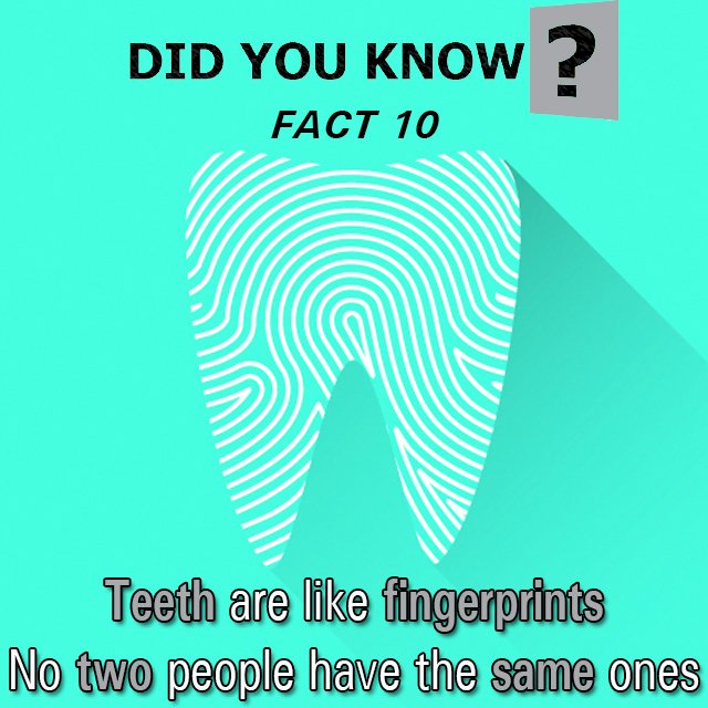 drdaryldarcy's tweet photo. 10 facts about teeth I bet you never knew VIDEO https://t.co/nVz0QQcdPf #dentalcare #FunFact #DidYouKnow thx #GeoBeats https://t.co/oFvs30HXFY