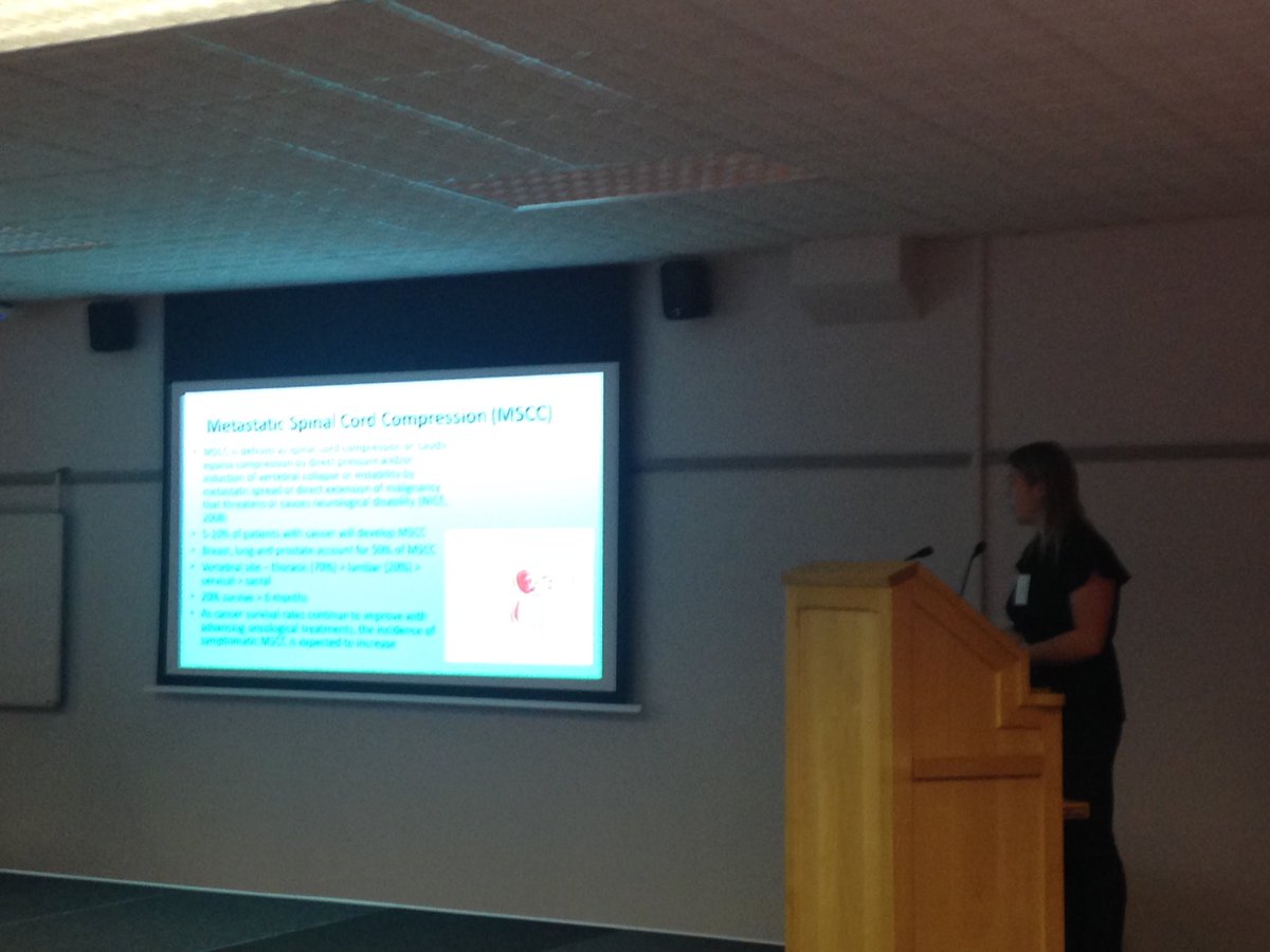 Team DublinSCIC presenting at 2016 <a href="/MASCIP3/">MASCIP</a> conference - Becky in action