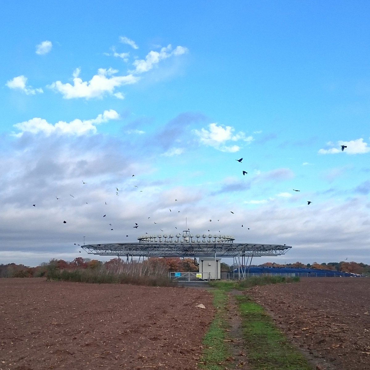 GalapagosBrian's tweet photo. Saw this on today's run.  Ockham DOVR aircraft navigation aid.  #RunAndExplore  #Trailrunning  #Ockham  #WisleyAirfield https://t.co/azv2Rl4YNm
