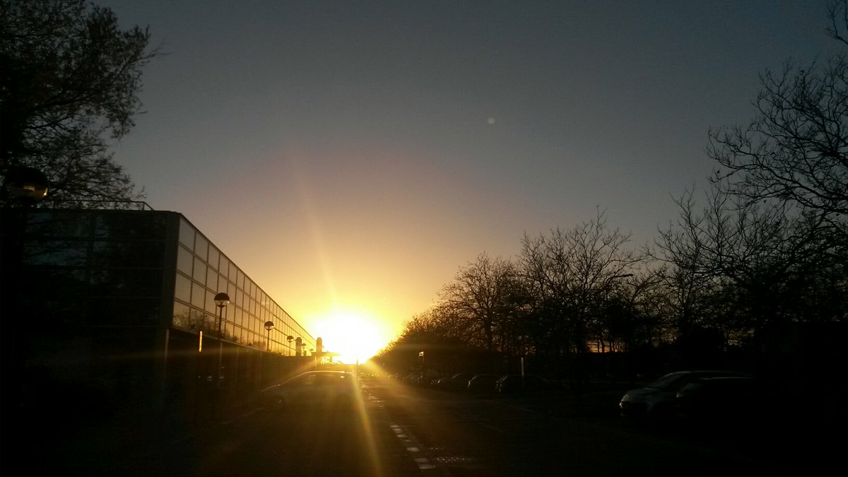 We couldn't resist sharing this photo with you, taken this afternoon by our Street Warden Rob! #LoveMK