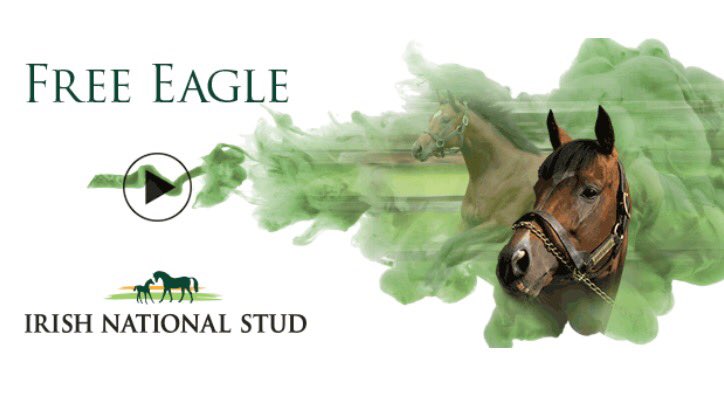 IrishNatStud's tweet photo. Free Eagle #BornIntoGreatness
Just a reminder of why! Drop by Barn S to book your mare now π
https://t.co/qyQZAV4iJ7 https://t.co/cHWfBmJUT8