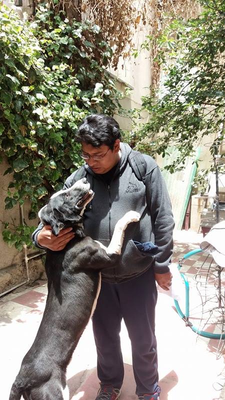 AnimalesSOS's tweet photo. Mushu, salio de su hogar en Alto Chijini el lunes 14. Lo recogimos postrado y sangrando, hoy volvio a su hogar. https://t.co/fN4Nd1dZ4O