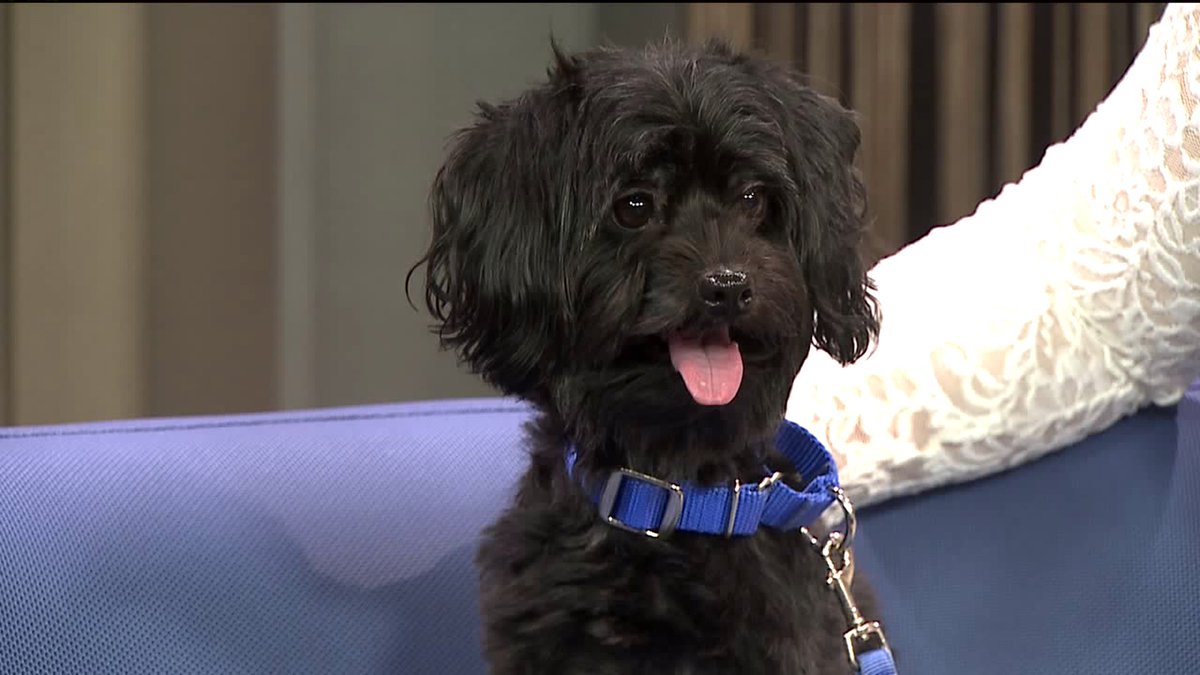 Brandi Kruse (BrandiKruse) Twitter