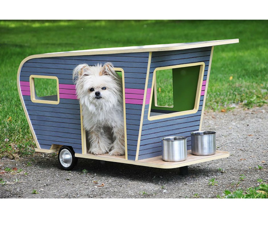 Highly incredible ideas for dogs
bit.ly/2fyPT2W