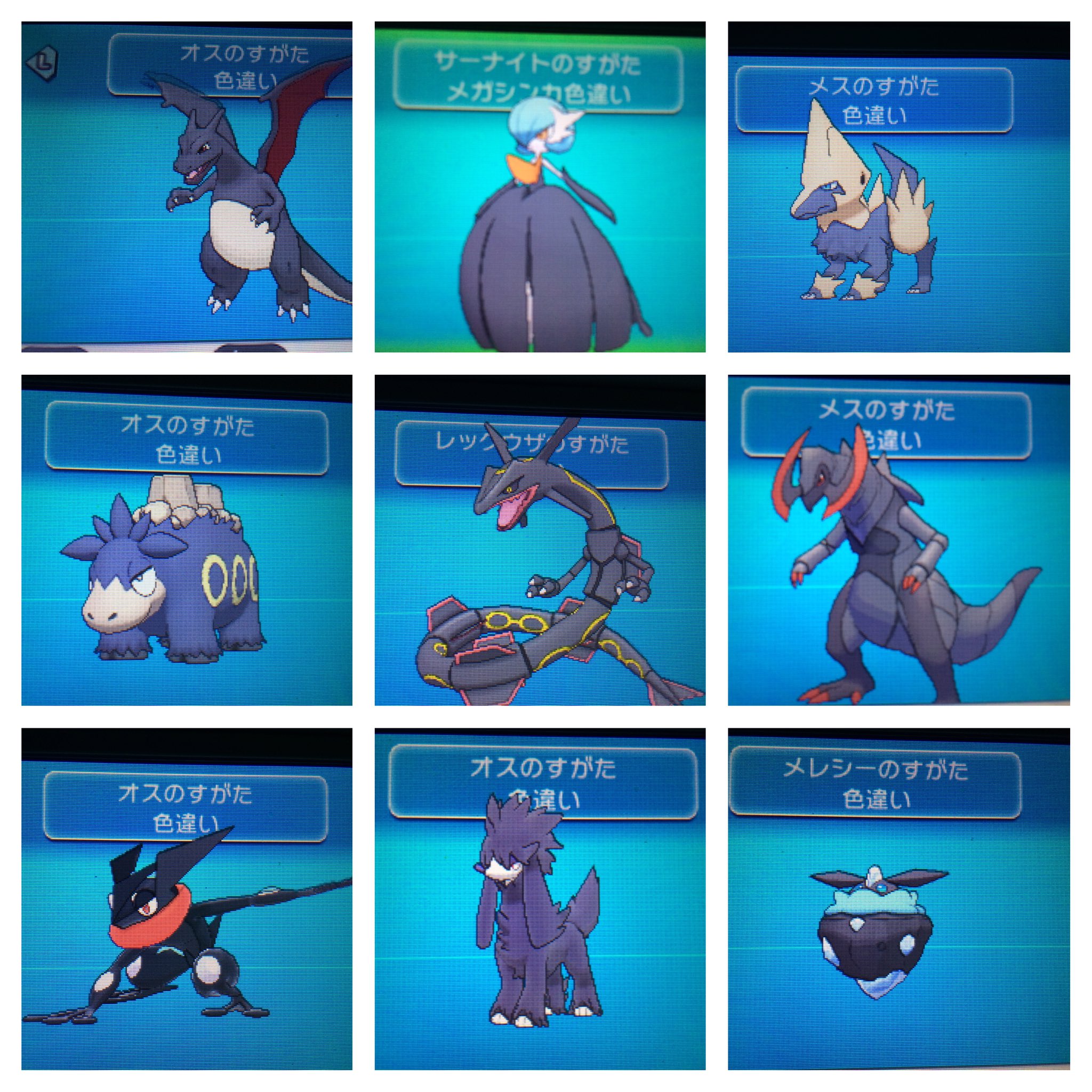 もっつ サンムーンでも孵化厳選して 色違い黒統一していきます 新登場ポケモンの色違いに期待 黒くなるのは何種類くらいいるでしょうかね ポケモン サンムーン 色違いポケモン T Co Fpk9zuyife Twitter