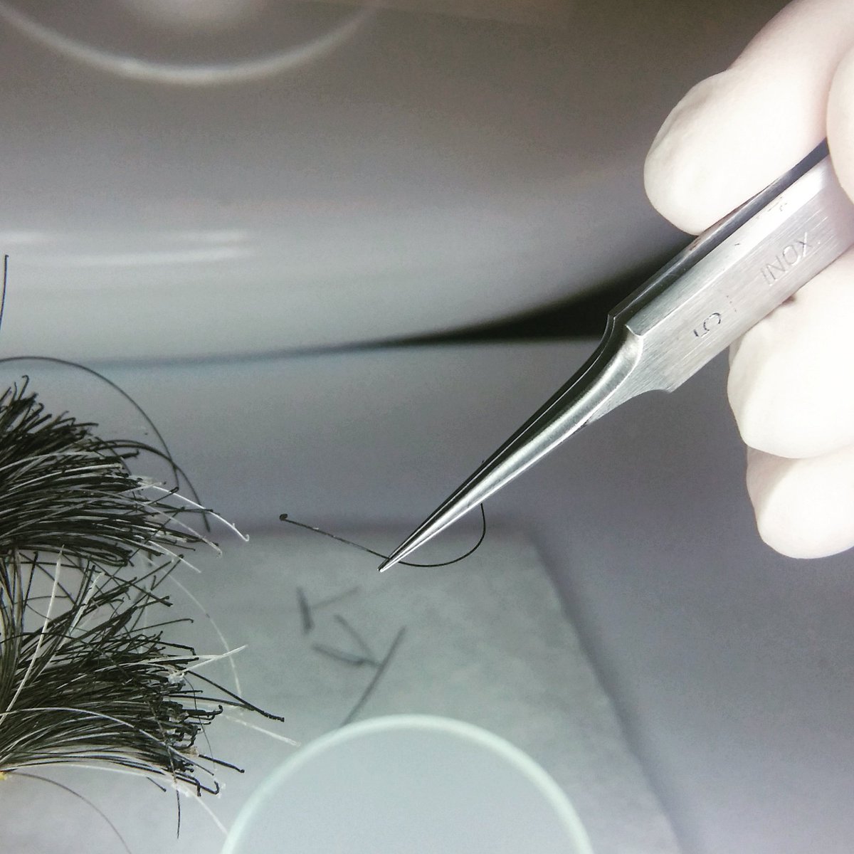 Jamalid_Report's tweet photo. Here we go ~ counting the camel tail hairs to be used in DNA extraction🐪
#DNA_extraction #DNA#Biological_Sciences #Dromedary#Dromedary_camel https://t.co/kCgbEpqoej