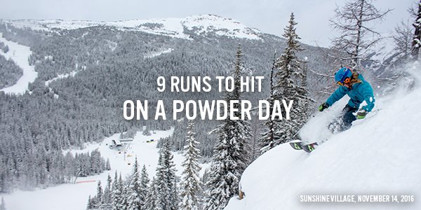 SkiBig3's tweet photo. From powder newbies to seasoned experts, here are 9 of our favourite runs to hit on spectacular powder days #SkiBig3 https://t.co/JVCSj0YOrl https://t.co/i0okDprHn8