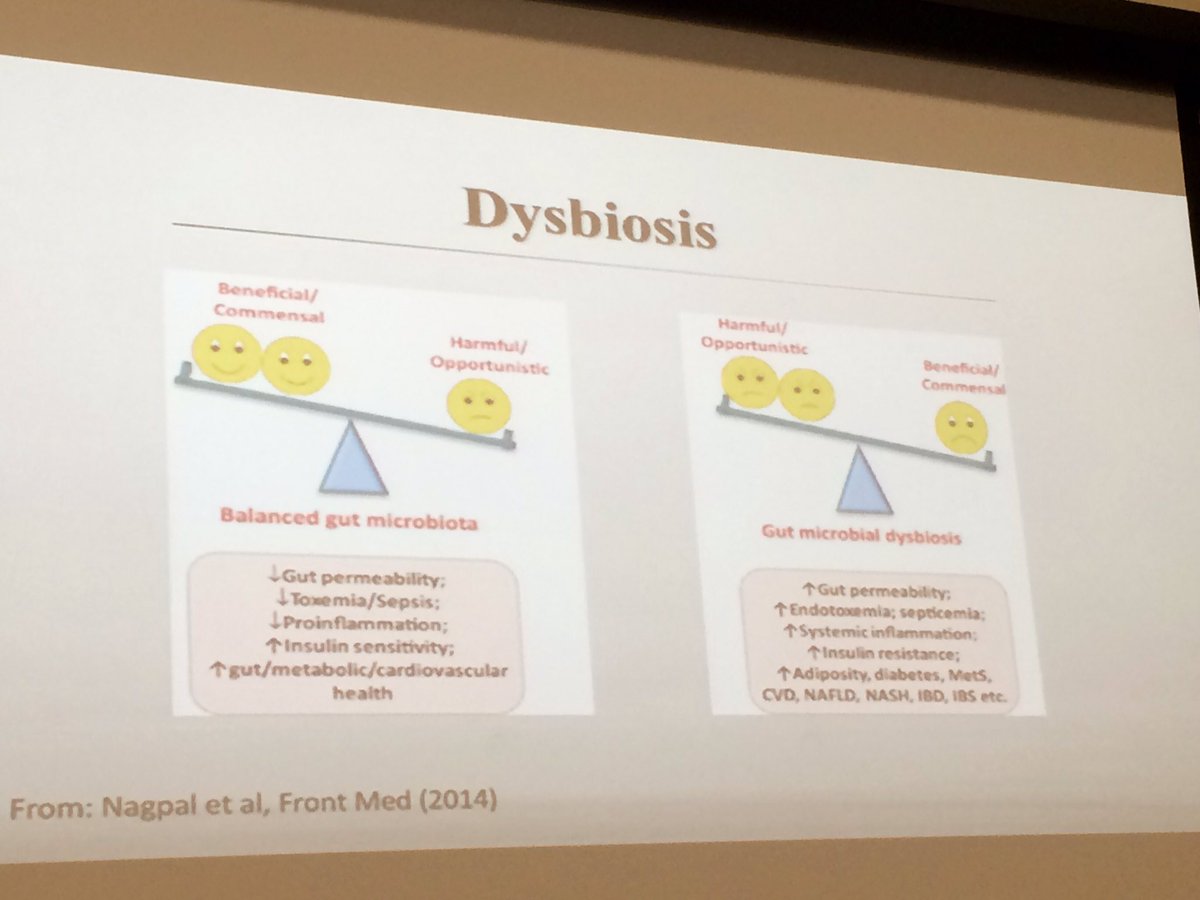 DrBubbs's tweet photo. Great insights by @nhaskeyRD at #SPIN16 on impact of #dysbiosis on health! #LeakyGut #Inflammation #Endotoxemia #InsulinResistance https://t.co/WhWaMWZS0s