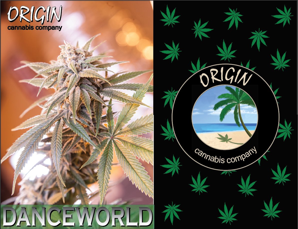 OriginCannabis's tweet photo. DanceWorld is quickly becoming the go-to strain for CBD and THC. Nothing like it!  Try our line of tinctures, rosin and high-CBD chocolates! https://t.co/6G3V9FQ45X