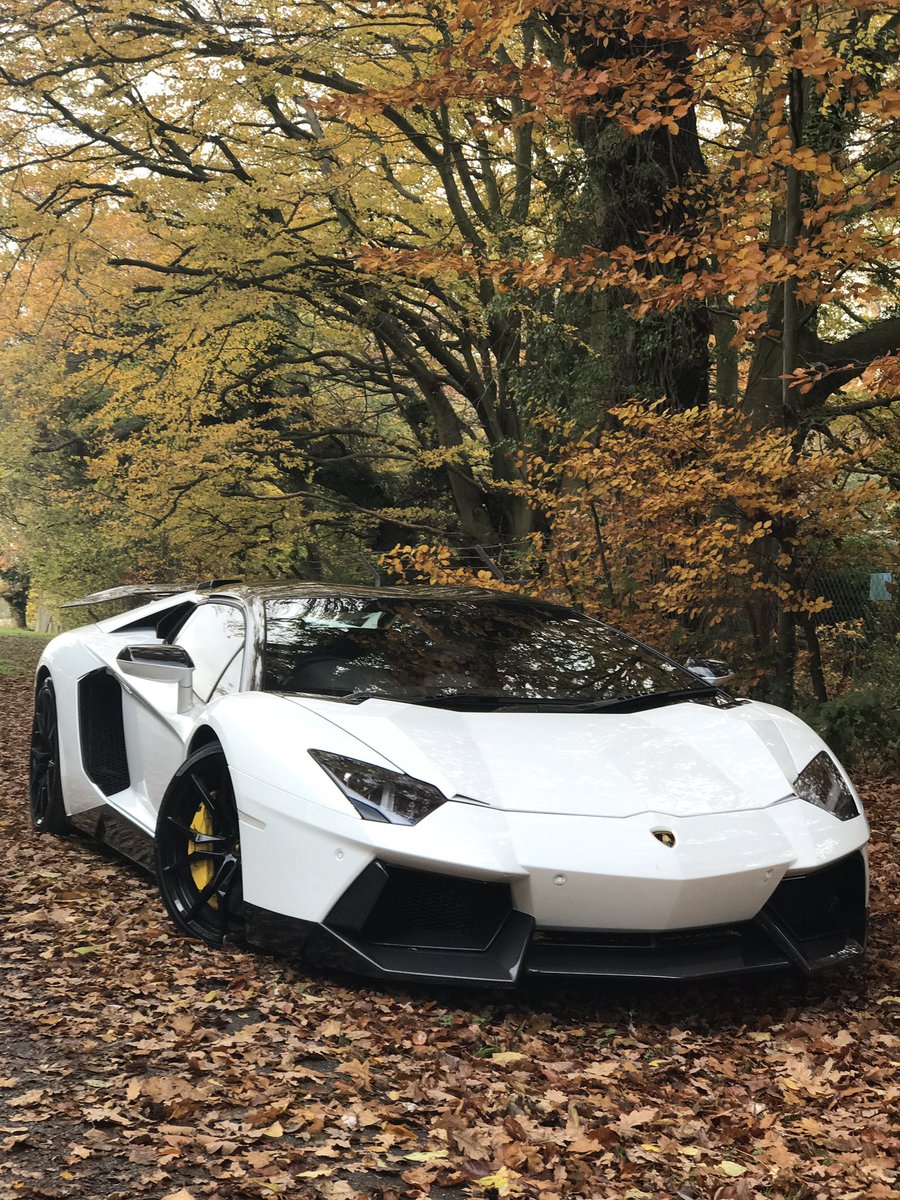 WallacePJW's tweet photo. The mad mad mad Novitec Lamborghini Aventador Roadster video is SLIGHTLY delayed! Going live around 6pm🎥 https://t.co/jmMu7Ll0CP